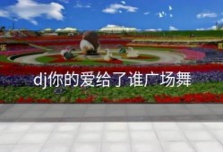 dj你的爱给了谁广场舞