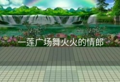 一莲广场舞火火的情郎