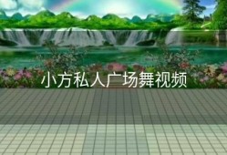 小方私人广场舞视频