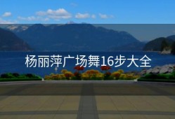 杨丽萍广场舞16步大全