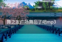 舞之友广场舞忘了吧mp3
