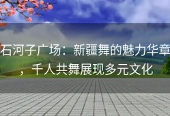 石河子广场：新疆舞的魅力华章，千人共舞展现多元文化