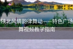 陕北风情韵律舞动——特色广场舞视频教学指南