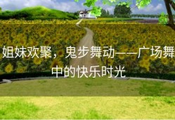 姐妹欢聚，鬼步舞动——广场舞中的快乐时光