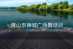 佛山市禅城广场舞培训