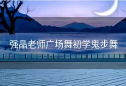 强晶老师广场舞初学鬼步舞