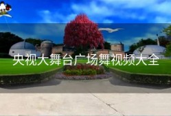 央视大舞台广场舞视频大全