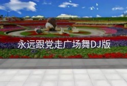 永远跟党走广场舞DJ版