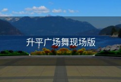 升平广场舞现场版