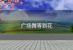 广场舞等到花