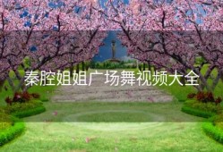 秦腔姐姐广场舞视频大全