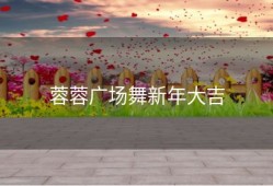 蓉蓉广场舞新年大吉