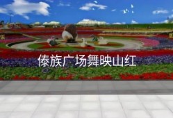 傣族广场舞映山红