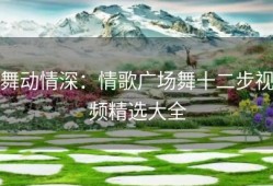 舞动情深：情歌广场舞十二步视频精选大全