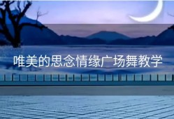 唯美的思念情缘广场舞教学