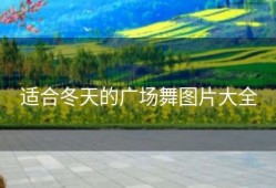 适合冬天的广场舞图片大全