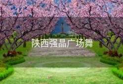 陕西强晶广场舞