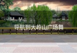 导航到大岭山广场舞