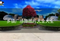 乡镇广场舞图片大全大全