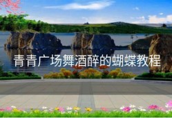 青青广场舞酒醉的蝴蝶教程