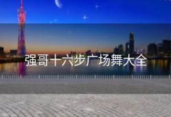 强哥十六步广场舞大全