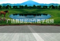 广场舞腿部动作教学视频
