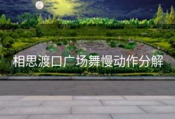 相思渡口广场舞慢动作分解