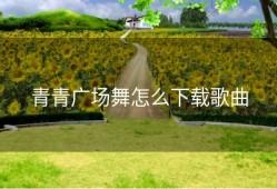 青青广场舞怎么下载歌曲