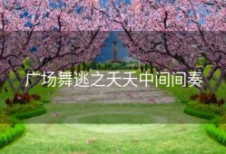 广场舞逃之夭夭中间间奏