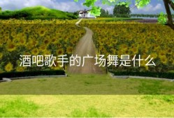 酒吧歌手的广场舞是什么