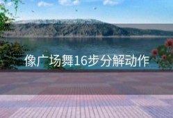 像广场舞16步分解动作