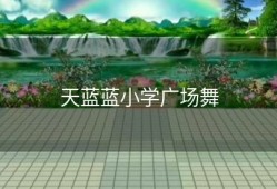 天蓝蓝小学广场舞
