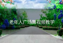 老年人广场舞视频教学