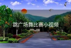跳广场舞比赛小视频
