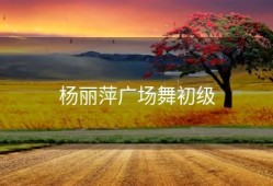 杨丽萍广场舞初级