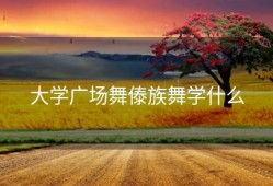 大学广场舞傣族舞学什么