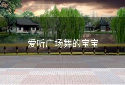 爱听广场舞的宝宝