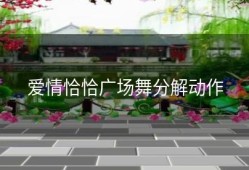 爱情恰恰广场舞分解动作