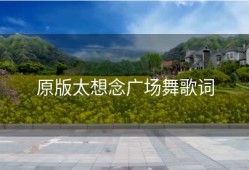 原版太想念广场舞歌词