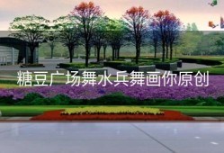 糖豆广场舞水兵舞画你原创