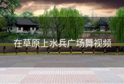 在草原上水兵广场舞视频