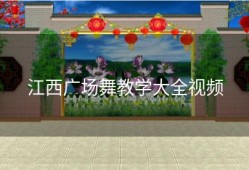 江西广场舞教学大全视频