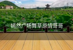 嫣然广场舞草原情哥哥