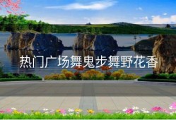 热门广场舞鬼步舞野花香