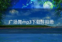 广场舞mp3下载醉相思
