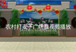 农村打麦子广场舞视频播放