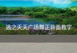 逃之夭夭广场舞正背面教学