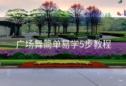 广场舞简单易学5步教程
