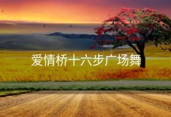 爱情桥十六步广场舞