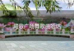 藏歌广场舞歌曲哈达